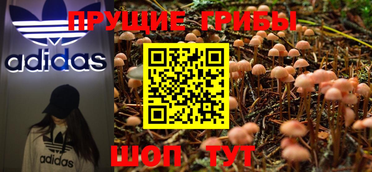Псилоцибиновые грибы ЛСД  Галлюциногенные грибы MAGIC MUSHROOMS  Кемерово  Вход с VPN 
